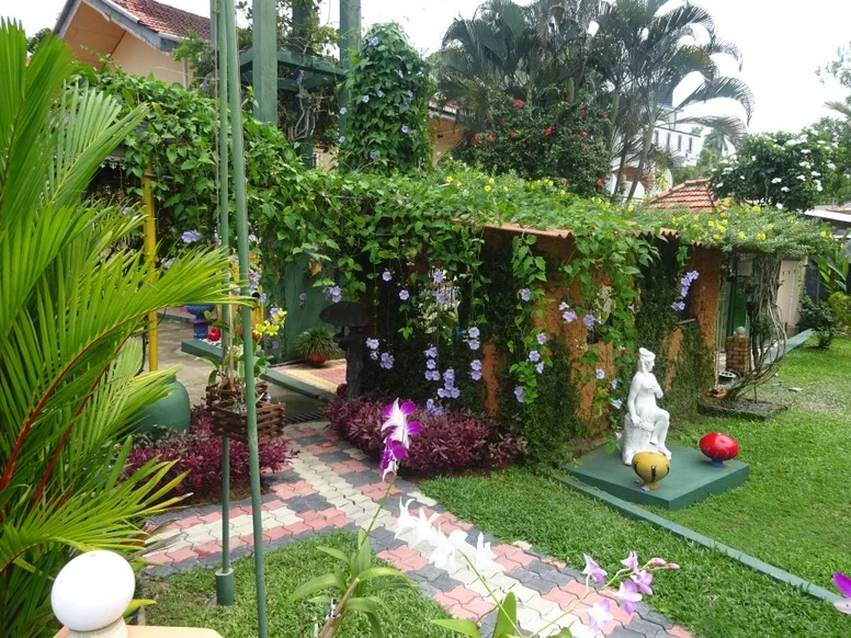Galerie Foto 15