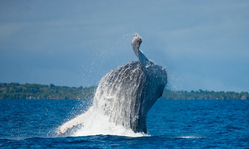 Mirissa