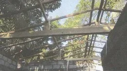 Roof Beams from Inside